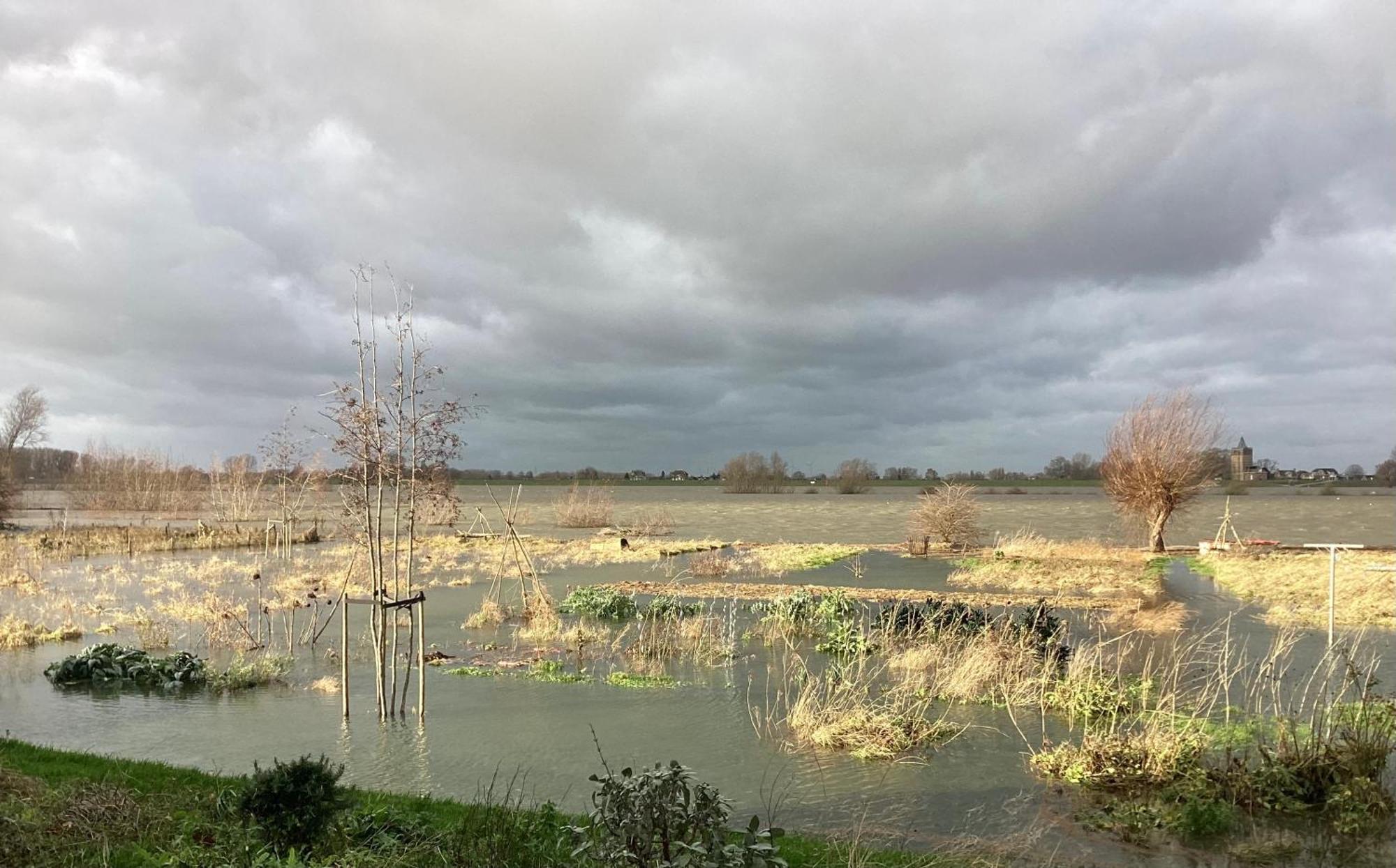 Unique Place On The River Waal Heerewaarden エクステリア 写真